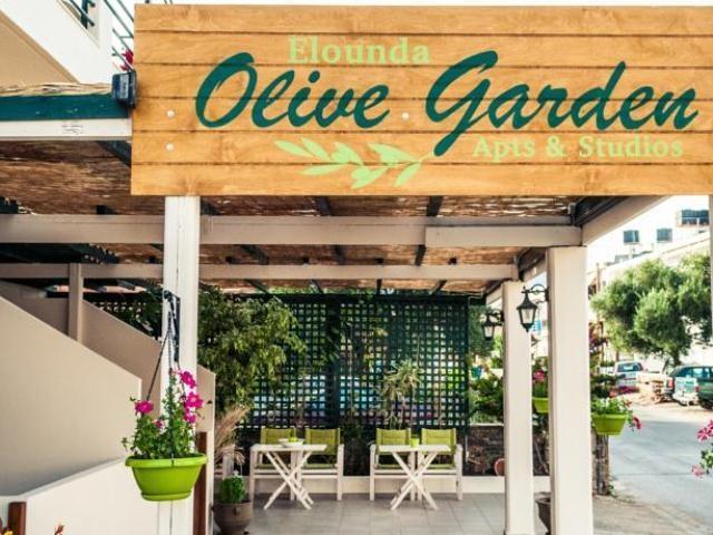 Elounda Olive Garden Apts & Studios Exteriör bild