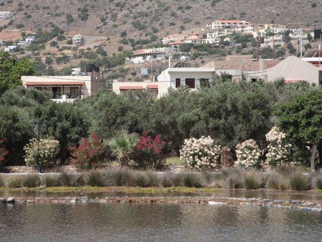 Elounda Olive Garden Apts & Studios Exteriör bild