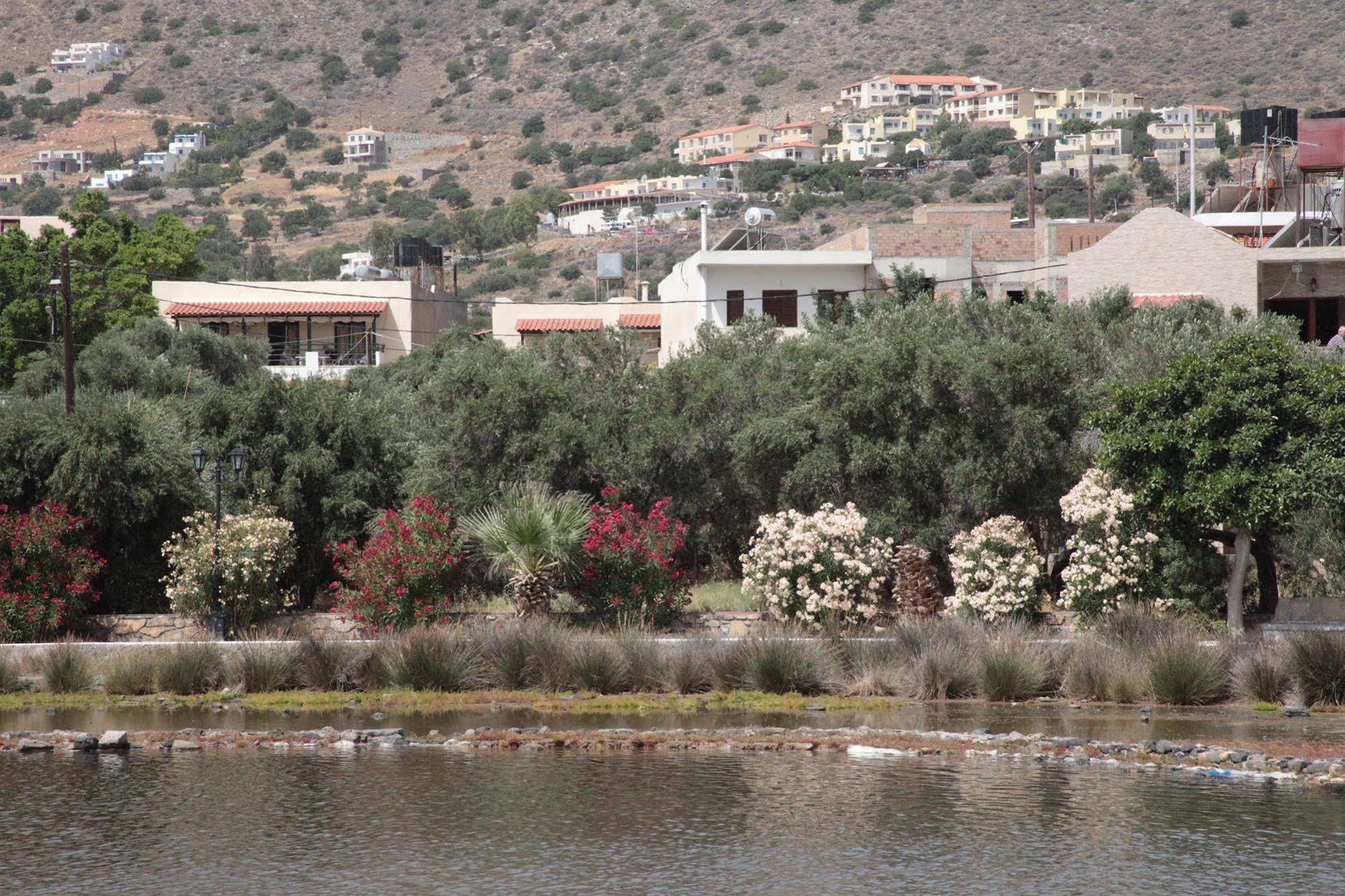 Elounda Olive Garden Apts & Studios Exteriör bild